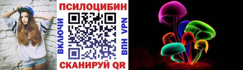 kraken как войти  купить наркотик  Каргополь  Псилоцибиновые грибы ЛСД 